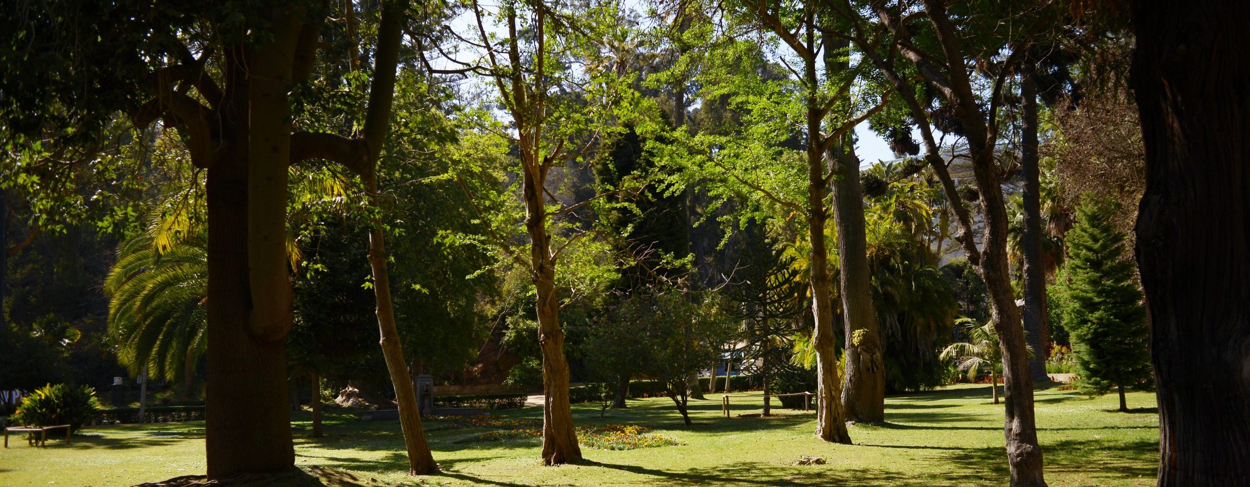 Parque Quinta Vergara: Un imperdible en el centro de Viña