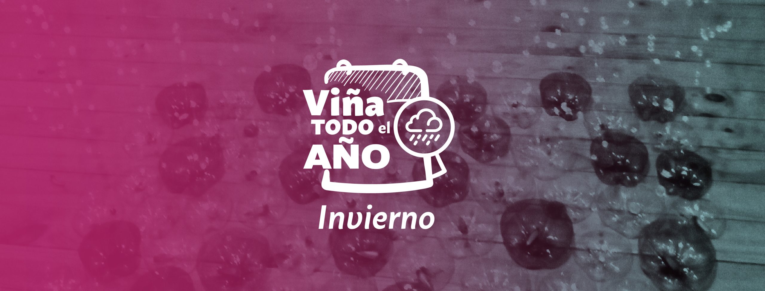 Museo Palacio Rioja: Instalaciones de arte “El H2O es un derecho”