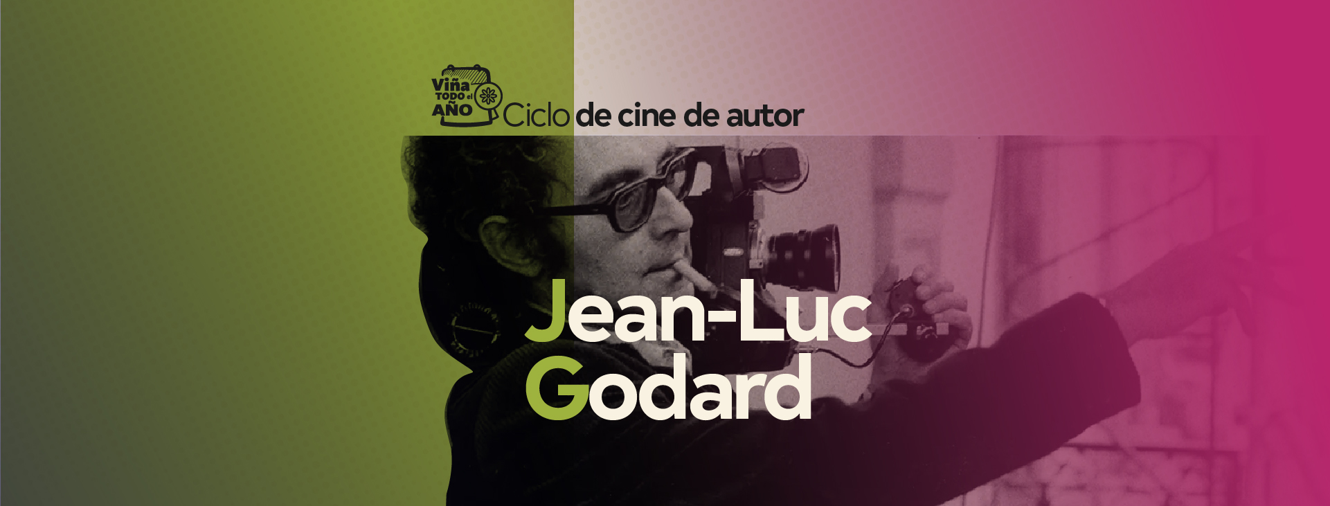 Viña todo el año: Cine de autor