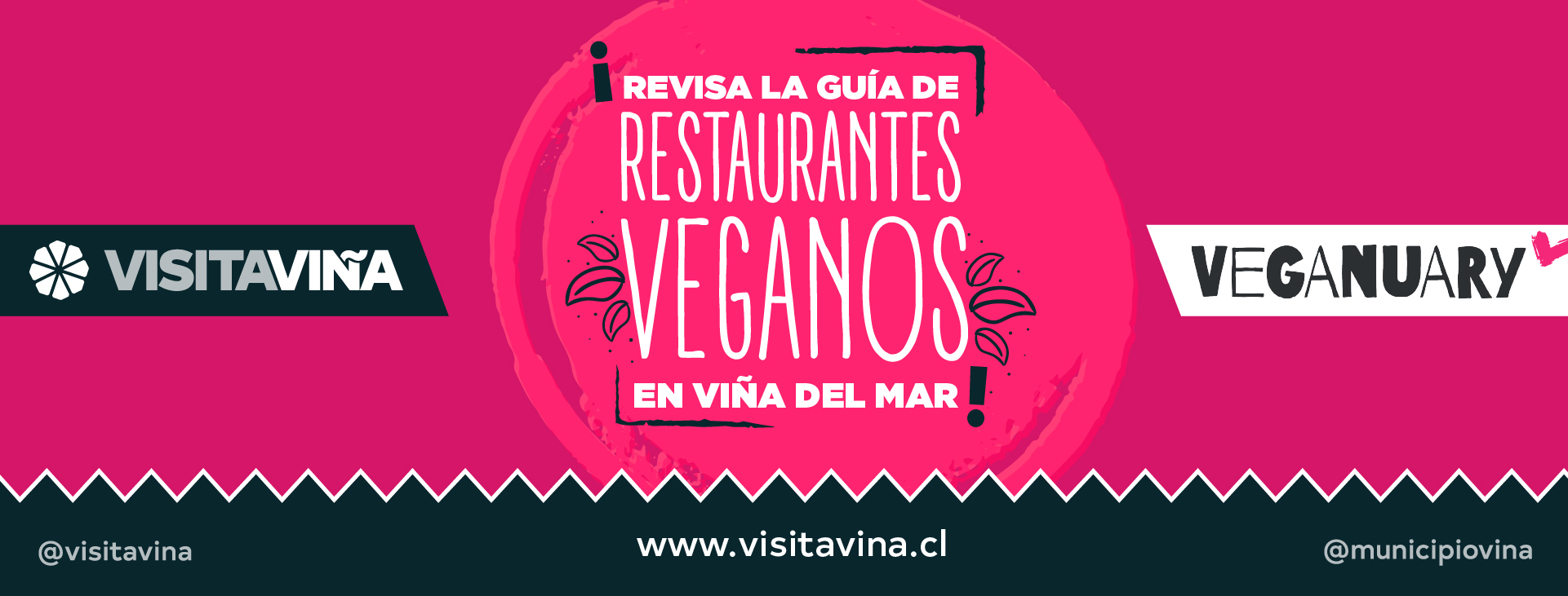 ¡Descubre el sabor vegano en Viña del Mar este verano!